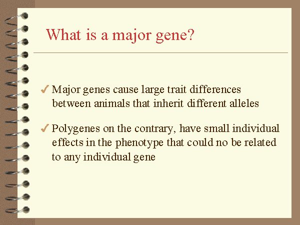 What Is A Major Gene 