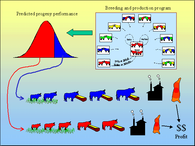 trm.gif (28908 bytes)